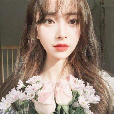 半岛·综合下载手机版