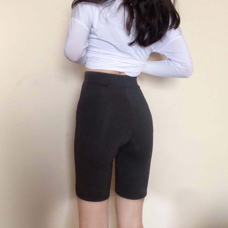 半岛·综合下载手机版