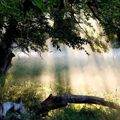 娱乐宝官网手机app下载