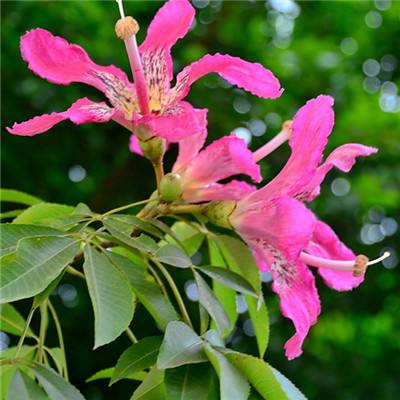 富翁彩票大厅～welcome